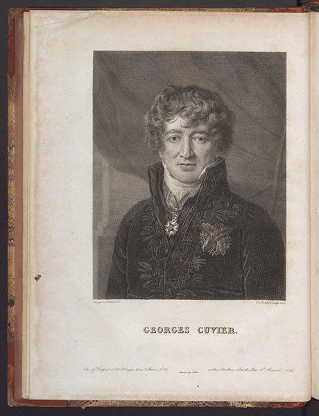 Georges Cuvier, engraved portrait, frontispiece to HIS Discours sur Les Revolutions de la surface du globe, 1826 (Linda Hall Library)