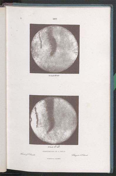 Mars observed on Aug. 16 and 19, 1877, heliogravures of photographs by J.O. Lacaille, in Luiz Cruls, Mémoire sur Mars, 1878 (Linda Hall Library)