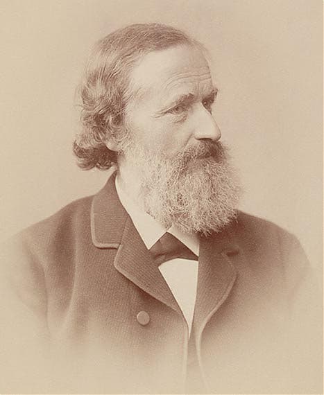 Portrait of an older Gustav Kirchhoff, photograph at the University of Wrocław, unknown date (mbd.muzeum.uni.wroc.pl)