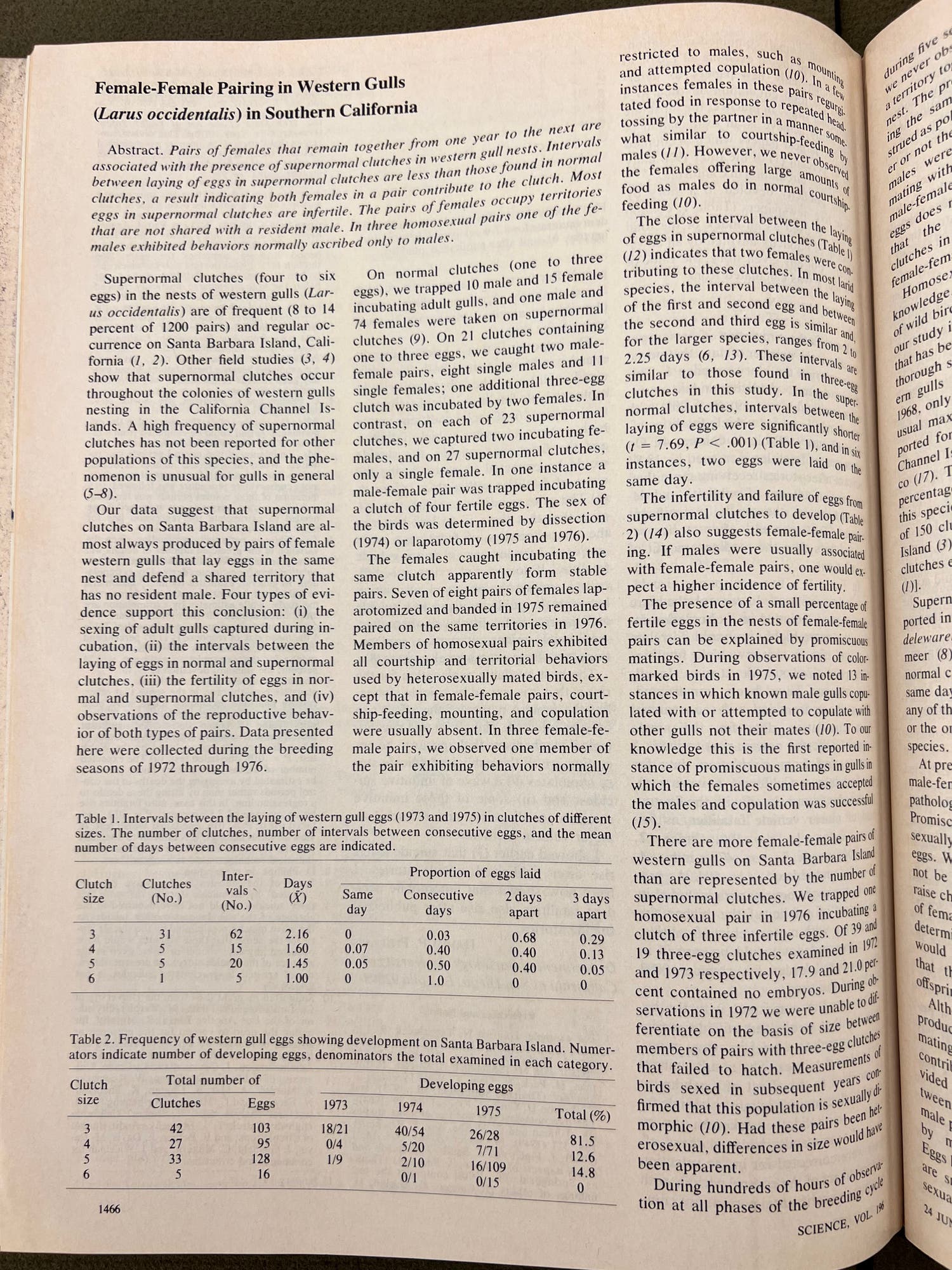 George L. Hunt and Molly Warner Hunt, "Female-Female Pairing in Western Gulls (Larus occidentalis) in Southern California", Science, 1977, v.196:no:4297:pg.1466-1467 (Linda Hall Library)