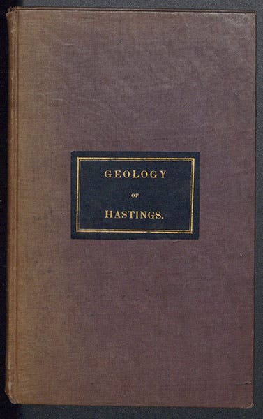 Binding of William Edward Fitton, A Geological Sketch of the Vicinity of Hastings, 1833 (Linda Hall Library)