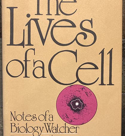 Dust jacket, The Lives of a Cell: Notes of a Biology Watcher, by Lewis Thomas, 1974 (author’s copy)