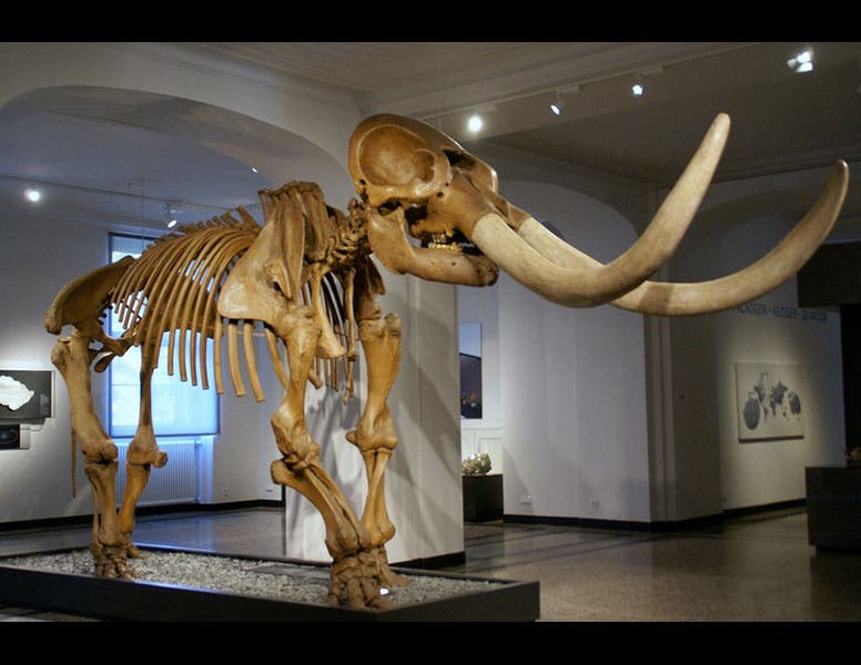 Hessisches Landesmuseum Darmstadt