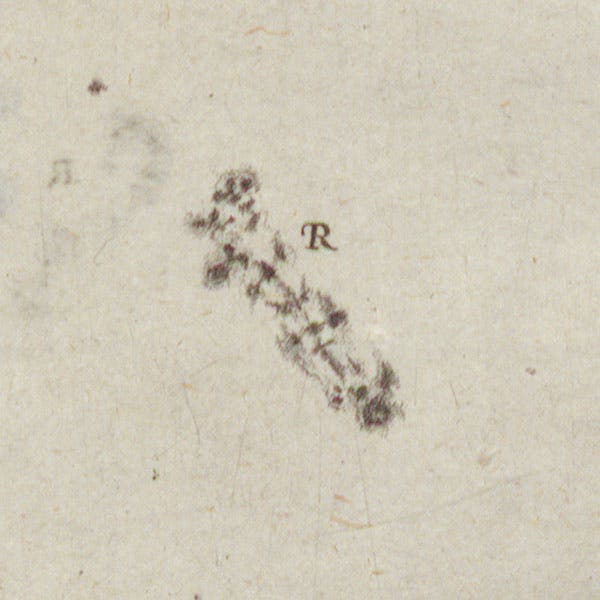 Detail of sunspot group R, engraving of the solar disc with sunspots, by Mattheus Greuter, after drawing by Galileo Galilei, in his Istoria e dimostrazioni intorno alle macchie solari, p. 82, 1613 (Linda Hall Library)