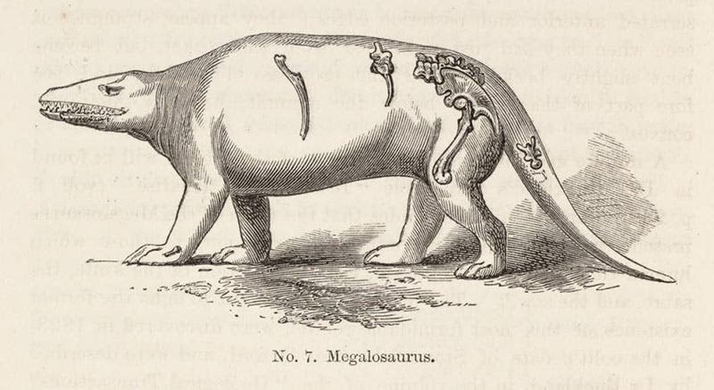 Richard Owen’s paper reconstruction of Megalosaurus, 1854 (Linda Hall Library)