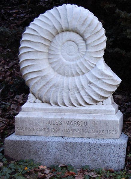 Grave monument of Jules Marcou, in the shape of an ammonite, Mount Auburn cemetery, Cambridge, Mass. (findagrave.com)