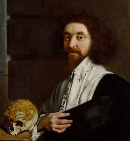 Portrait of John Tradescant the Younger, oil on canvas, 1652, attributed to Thomas De Critz, National Portrait Gallery, London, on display in The Garden Museum, Lambeth (npg.org.uk)