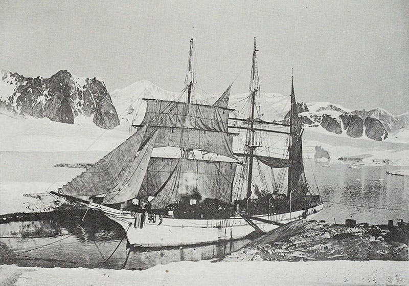 Pourquois-Pas?, the ship built for the second French Antarctic expedition, from a book by Jean-Baptiste Charcot not in our collection (Wikimedia commons)