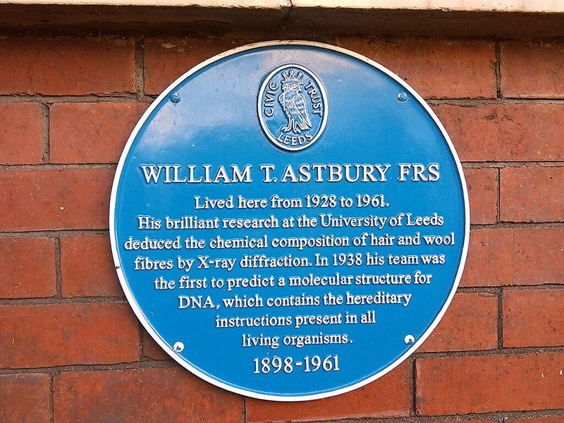 Blue plaque on the home of William T. Astbury in Leeds (Wikimedia commons)