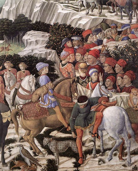 Procession of the Oldest King, by Benozzo Gozzoli, slight detail, Magi Chapel, Palazzo Medici Ricardi, Florence, 1459 (Web Gallery of Art)