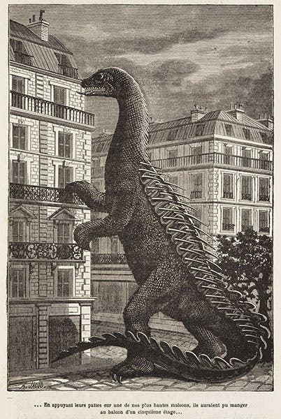 Dinosaur peering in the sixth floor of a Parisian apartment, wood engraving, in Le monde avant la création de l'homme, by Camille Flammarion, 1886 (Linda Hall Library)
