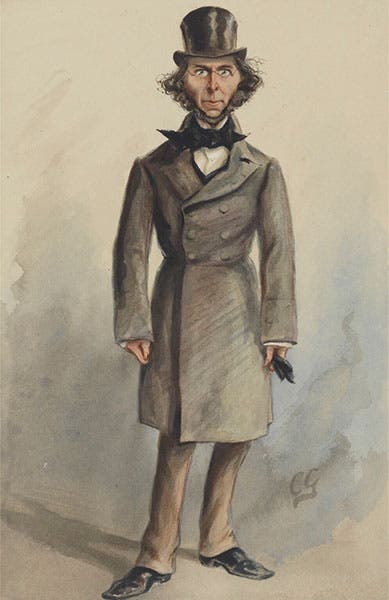 Caricature of Herbert Spencer, by Francis Carruthers Gould, Vanity Fair, Apr. 26, 1879 (National Portrait Gallery, London)