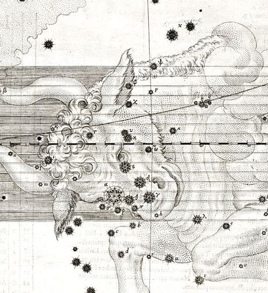 Detail of the star map of the constellation Taurus, Johann Bayer, Uranometria, plate 24, 1603 (Linda Hall Library)