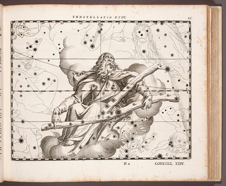 St. Andrew or Taurus, engraving, plate 23, Julius Schiller, Coelum stellatum Christianum, 1627 (Linda Hall Library)