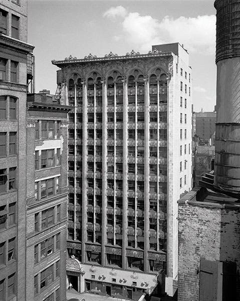 The Bayard Building, designed by Louis Sullivan, New York City, 1899, photograph by author