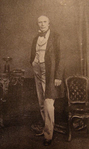 Portrait of Louis Haghe, photograph, undated (Day & Son on Wikimedia commons)