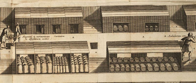 Detail of the 2nd level of “Optical projection” (seventh image), where all the storerooms were located, engraving in Arca Noë, by Athanasius Kircher, foll. p. 116, 1675, copy 2 (Linda Hall Library)