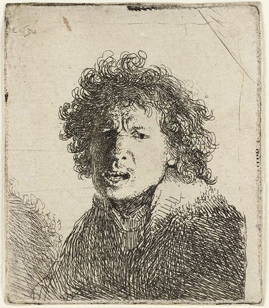 Self-portrait of Rembrandt, etching, 1630, Ashmolean Museum, Oxford (artuk.org)