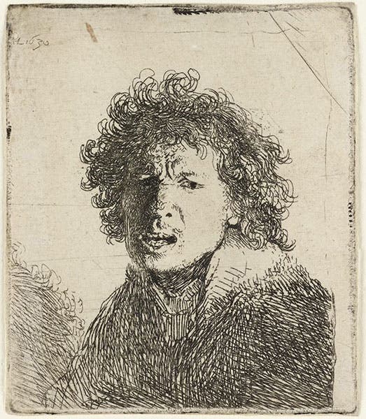 Self-portrait of Rembrandt, etching, 1630, Ashmolean Museum, Oxford (The Morgan Library & Museum)