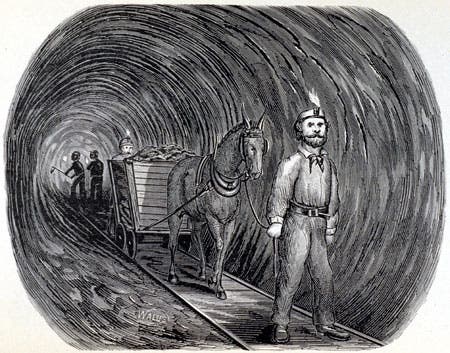 Mule in the tunnel. Image source: The Tunnels and Water System of Chicago: Under the Lake and Under the River. Chicago: J.M. Wing & Co., 1874, p. 59.