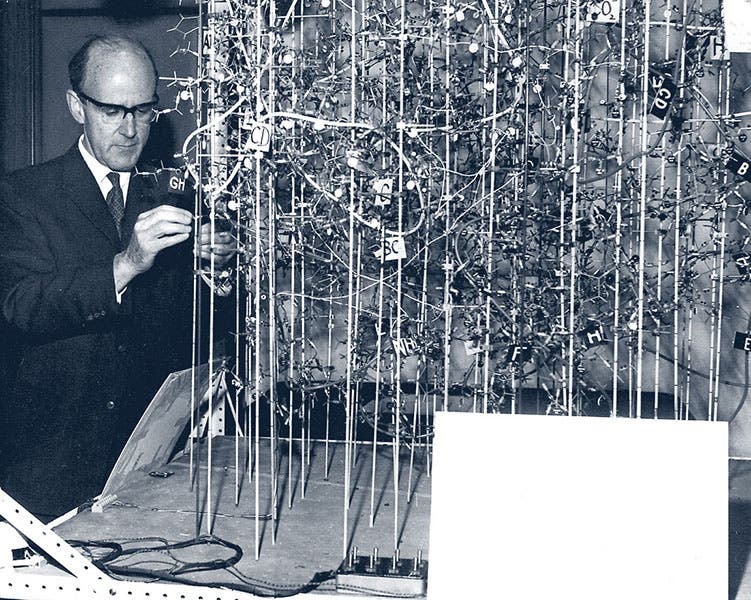 Max Perutz with his high-resolution model of hemoglobin, undated photograph, Max Perutz Labs, Vienna (maxperutzlabs.ac.at)