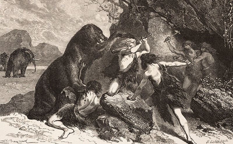 Fending off an attack of the “Great Bear,” detail of wood engraving after Émile Bayard, in L'homme primitive, by Louis Figuier, 1870 (Linda Hall Library)