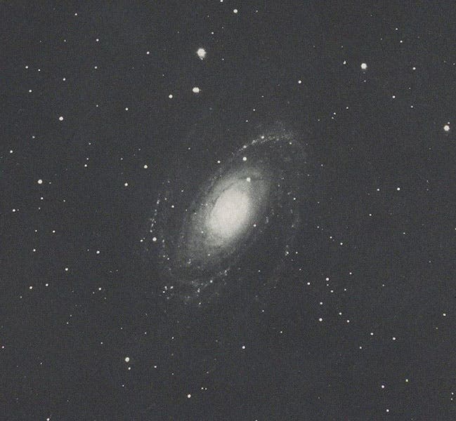 M81 spiral nebula in Ursa Major, photograph by James Keeler, cropped to plate borders, heliogravure in Photographs of Nebulae and Clusters Made with the Crossley Reflector, by James Keeler, Lick Observatory, plate 21, 1908 (Linda Hall Library)
