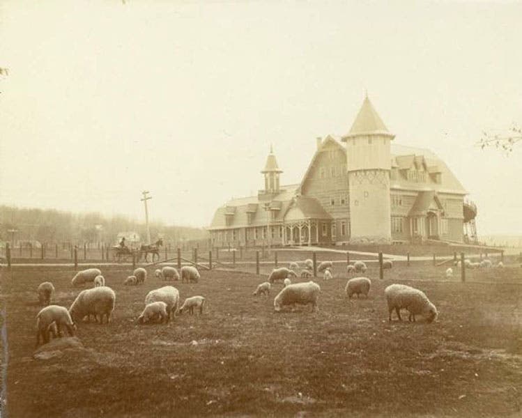 The Dairy Barn at the UW-Madison campus, where Babcock’s “single-grain” experiments were conducted, 1907-11 (isthmus.com)