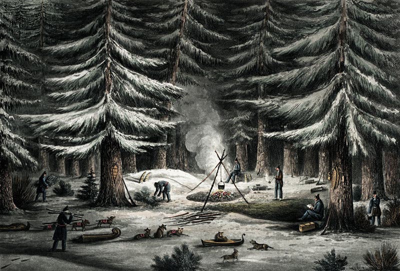 A camp in the Arctic woods, detail of hand-colored engraving, John Franklin, Narrative of a Journey to the Polar Sea, 1823 (Linda Hall Library)