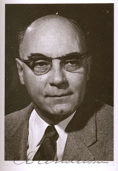 Portrait of an older Carl Anderson, photograph, unknown date (Wikimedia commons)