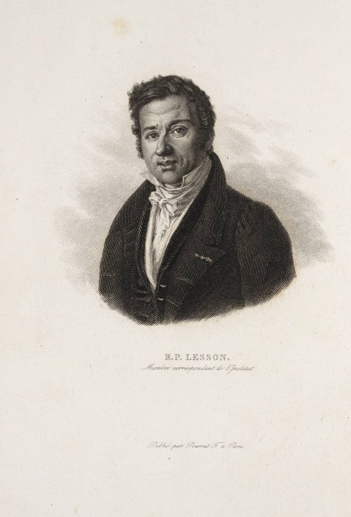 René Primevére Lesson, portrait, frontispiece engraving, unsigned, in René Lesson, Voyage autour du monde, 1839 (Linda Hall Library)