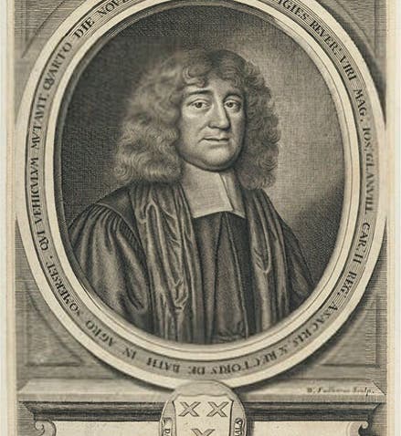 Portrait of Joseph Glanvill, engraving, 1681 (National Portrait Gallery, London)