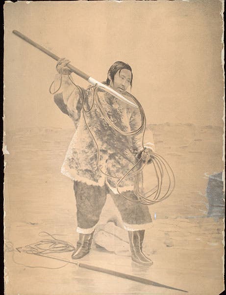 “Man fishing with a harpoon on ice,” sketch by Henry Wood Elliott, undated, National Anthropological Archives, Smithsonian Institution (ids.si.edu)
