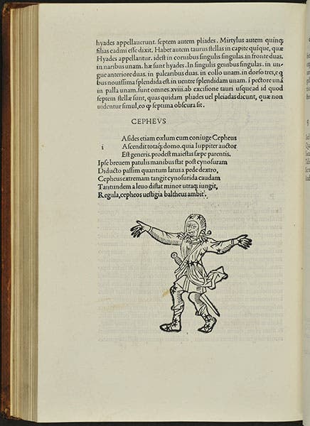 Discussion and woodcut of the constellation Cepheus, in the Phaenomenon of Aratus, in the Aldine edition of Matheseos Liber, 1499 (Linda Hall Library)