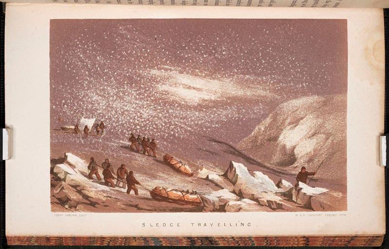 Osborn’s sledge, HMS Pure Blue, out on the ice, with its support sledge, in the spring of 1851, tinted lithograph after a drawing by Osborn, in Stray Leaves from an Arctic Journal, by Sherard Osborn, 1852 (Linda Hall Library)