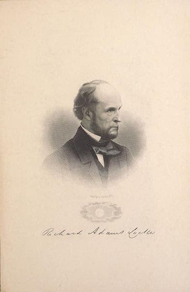 Portrait of Richard Adams Locke, undated, Smithsonian Libraries (blog.library.si.edu)