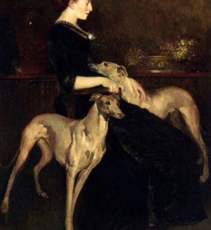 Mary Anna Palmer Draper, oil portrait by John White Alexander, 1888 (New York Public Library via Wikimedia commons)