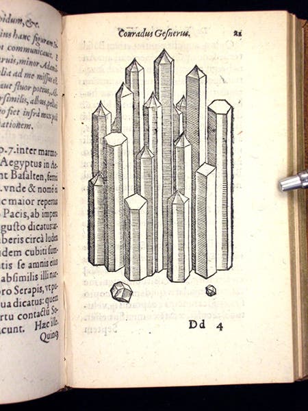 Basalt prisms, woodcut in De rerum fossilium, by Conrad Gessner, 1565 (Linda Hall Library)