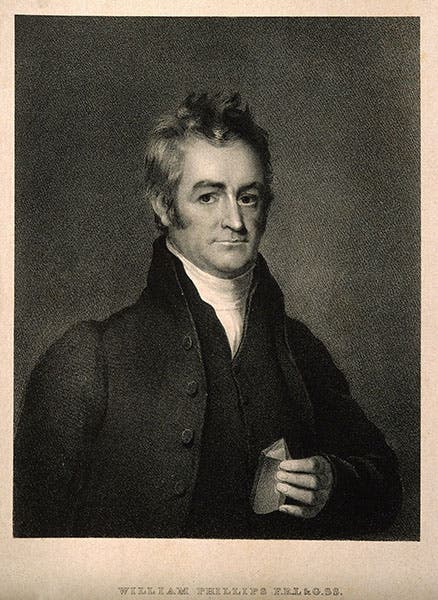 Portrait of William Phillips, lithograph by M. Gauci, after painting by Bowman, 1831, Wellcome Collection, London (wellcomecollection.org)