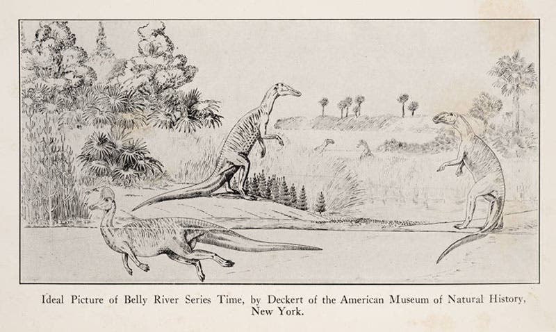 Ideal sketch of the Belly River series, Alberta, with a trachodon and a Corythosaurus, frontispiece, in C.H. Sternberg, Hunting Dinosaurs in the Bad Lands of the Red Deer River, Alberta, Canada, 1917 (Linda Hall Library)