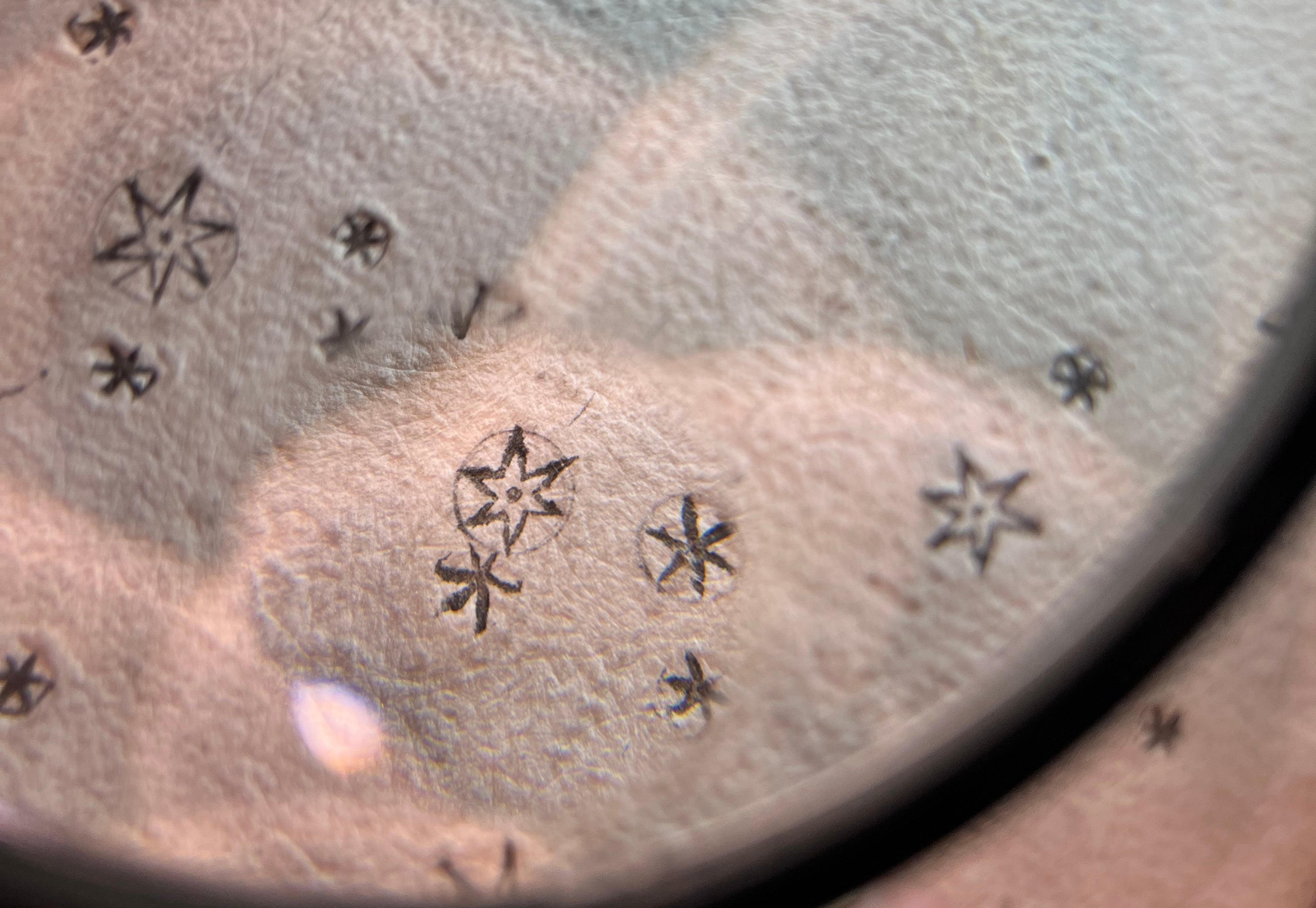 Sidereus Stars Under Magnifying Glass