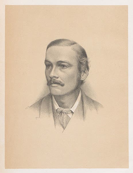 Portrait of Francis M. Balfour, frontispiece, The Works of Francis Maitland Balfour, 4 vols., ed. by Michael Foster and Adam Sedgwick, vol. 1, 1885 (Linda Hall Library)