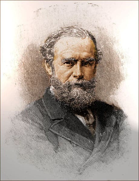 Portrait of John Lubbock, Strand Magazine, 1891 (Wikimedia commons)