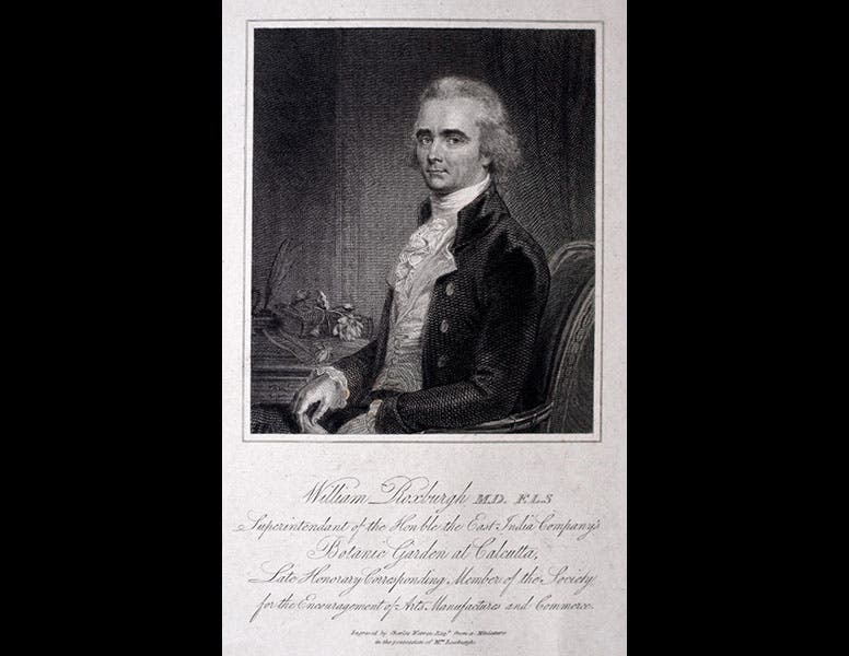 Royal College of Physicians of Edinburgh