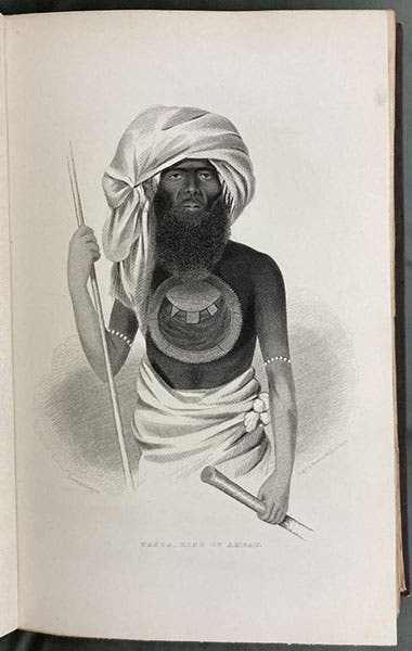 “Tanga, King of Ambau,” full-page etching based on drawing by Alfred T. Agate, in Narrative of the United States Exploring Expedition, by Charles Wilkes, 1845, quarto ed., vol. 3 (Linda Hall Library)