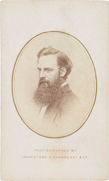 Portrait of Nicholas Chevalier, carte de visite, 1867, National Portrait Gallery of Australia, Canberra (portrait.gov.au)