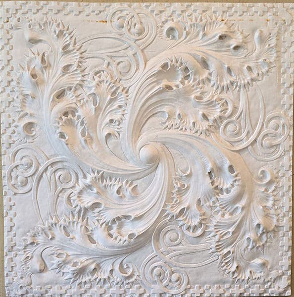 Plaster cast of Sullivan facade ornament, photograph by author