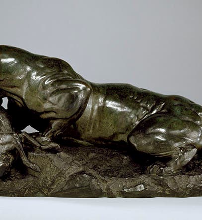 Jaguar Devouring a Hare, sculpture by Antoine-Louis Barye, 1850, bronze casting by Ferdinand Barbedienne, 1882, Walters Art Museum (art.thewalters.org)