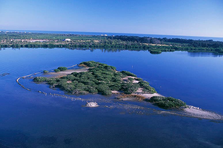 Aerial view of Pelican Island, near Sebastian, Florida (Wikimedia commons)