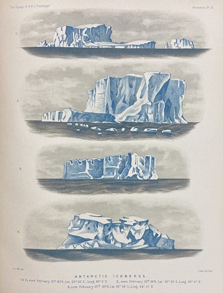 Icebergs, chromolithograph, Report on the Scientific Results of the Voyage of H.M.S. Challenger during the years 1873-76, Narrative, ed. by C. Wyville Thomson and John Murray, vol. 1, 1885 (Linda Hall Library)